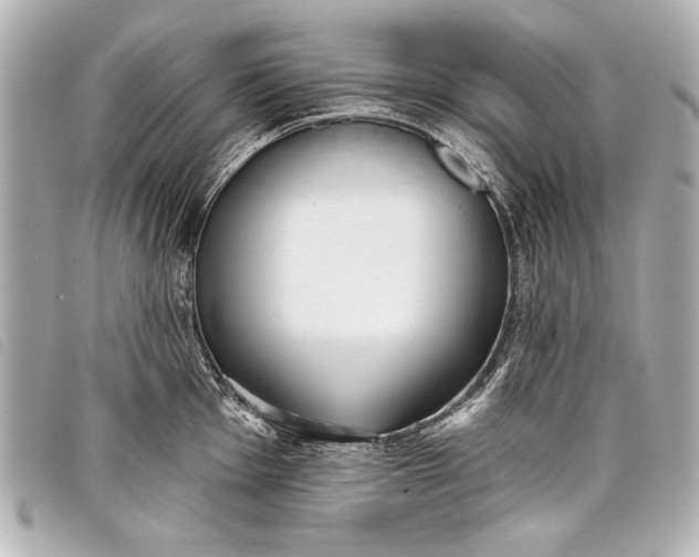 X0000098111001200804181446