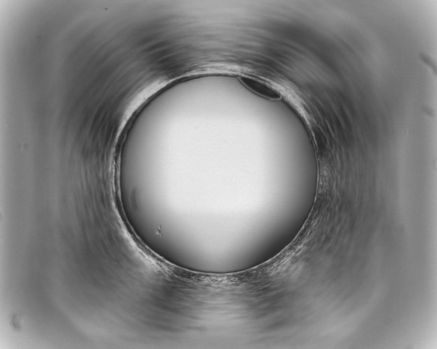 X0000098111003200804181446