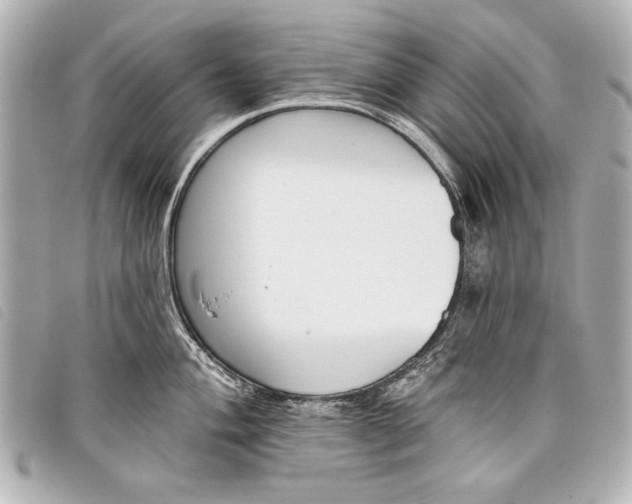 X0000098111004200804181446