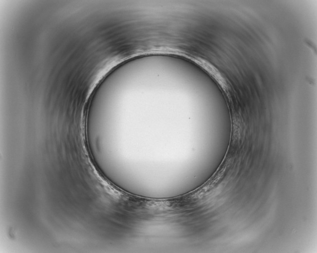 X0000098111006200804181446