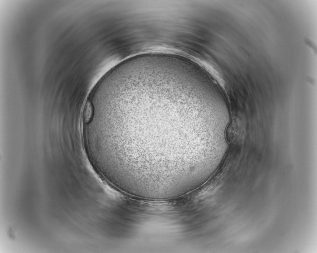 X0000098111007200804181446
