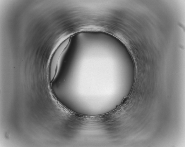 X0000098111008200804181446
