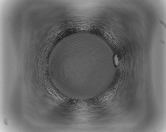 X0000098111009200804181445