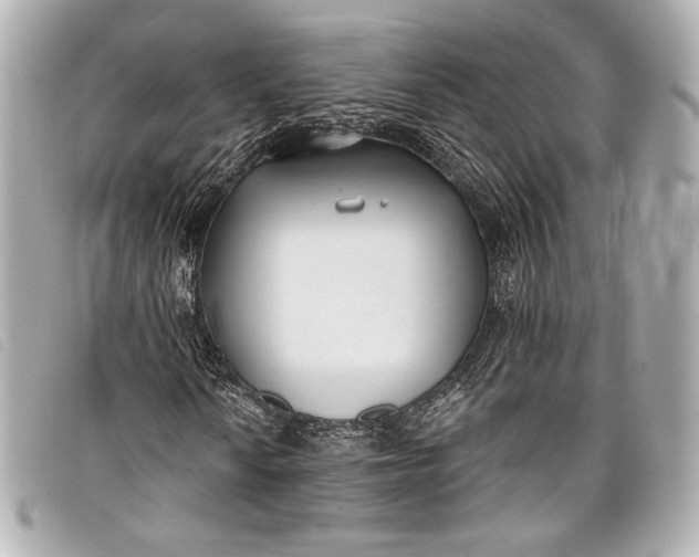 X0000098111010200804181445