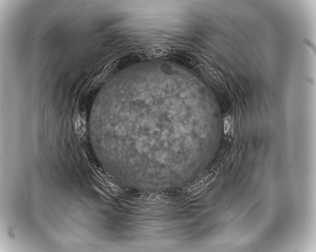 X0000098111011200804181445