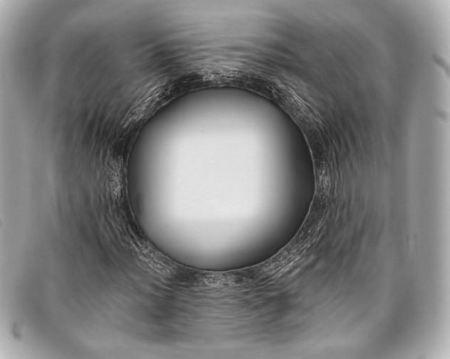 X0000098111012200804181445