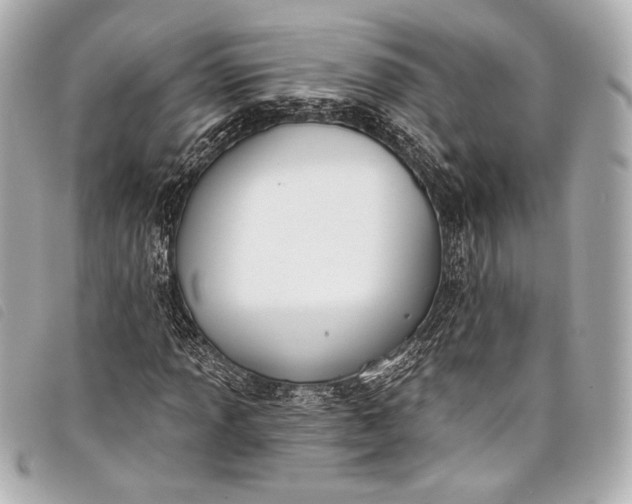 X0000098111013200804181445