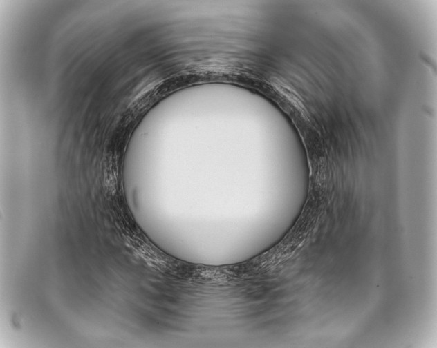 X0000098111015200804181445