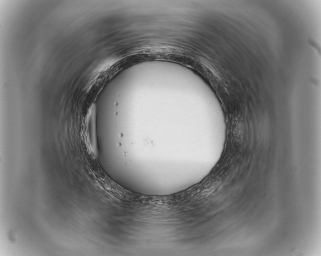 X0000098111016200804181445