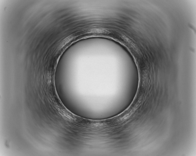 X0000098111017200804181445