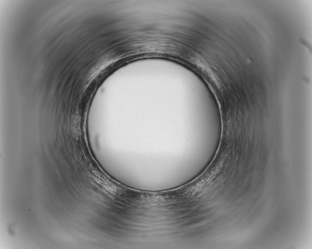 X0000098111019200804181445