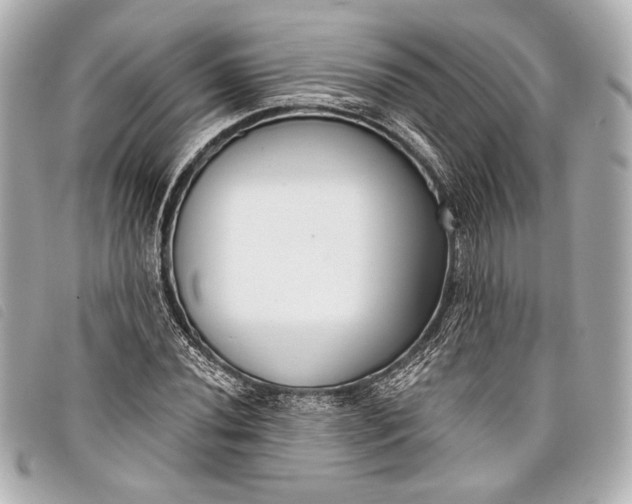 X0000098111020200804181445