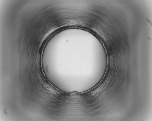 X0000098111021200804181446
