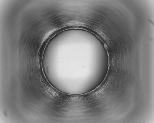 X0000098111022200804181446