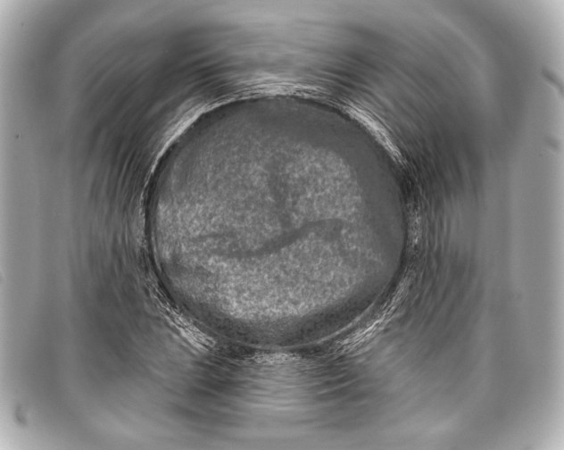 X0000098111023200804181446