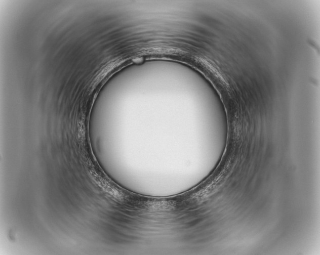 X0000098111025200804181446