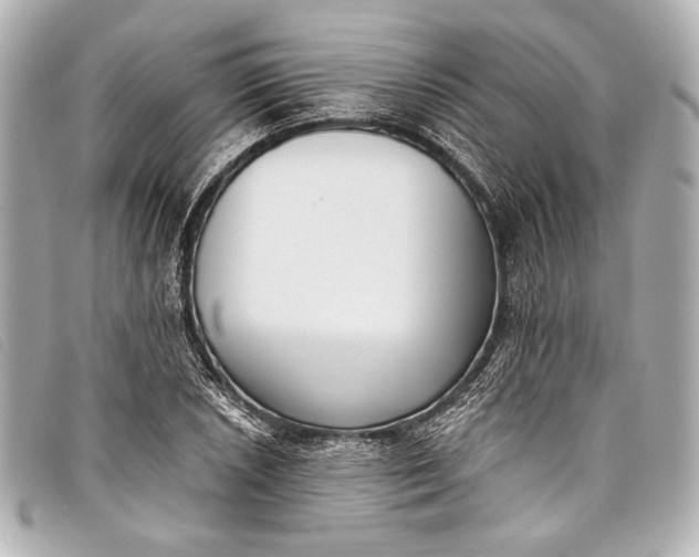 X0000098111026200804181446