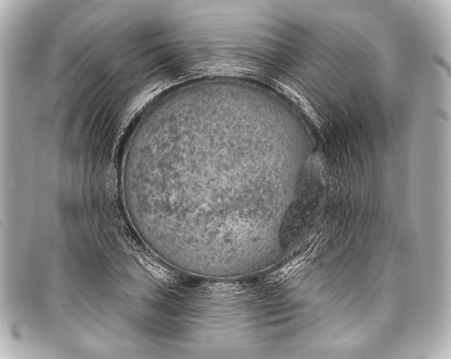 X0000098111027200804181446