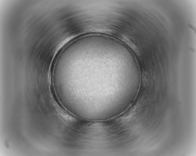X0000098111028200804181446