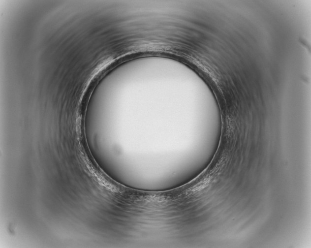 X0000098111029200804181446