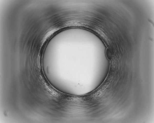 X0000098111030200804181446