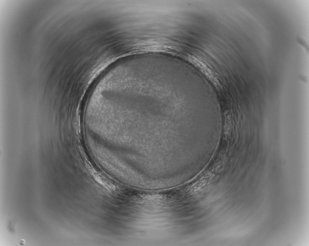 X0000098111031200804181446