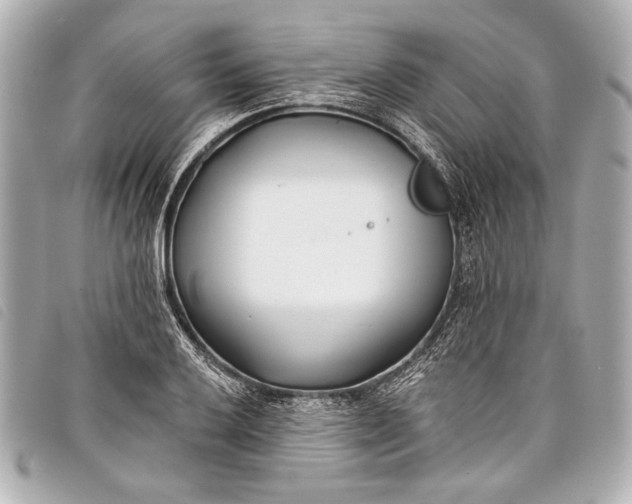 X0000098111032200804181446