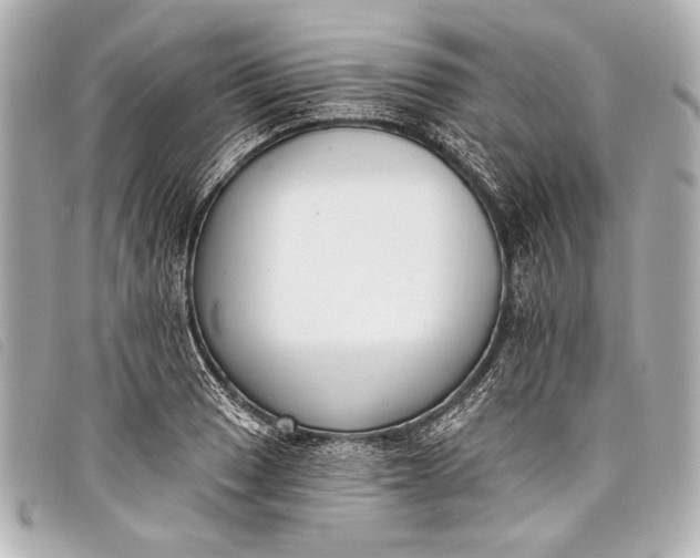 X0000098111033200804181446