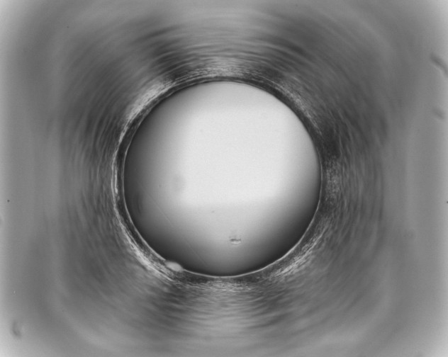 X0000098111034200804181446