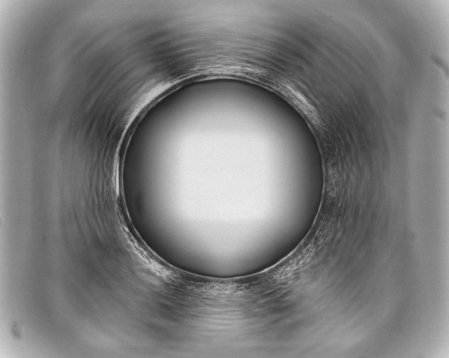 X0000098111036200804181446