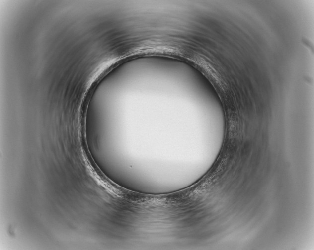 X0000098111038200804181446