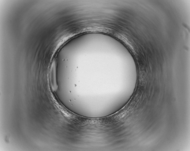 X0000098111040200804181446