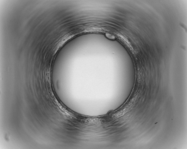 X0000098111041200804181446