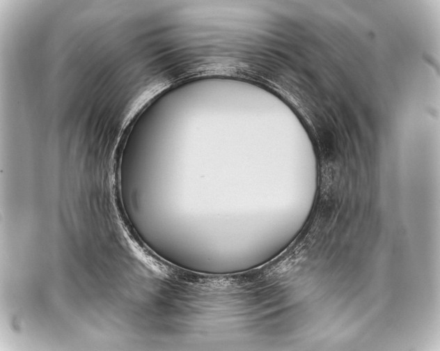 X0000098111042200804181446
