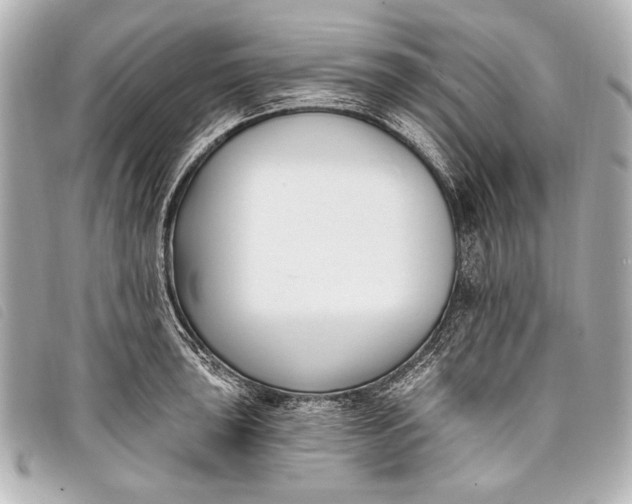 X0000098111043200804181446