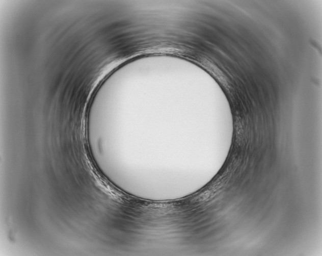 X0000098111044200804181446