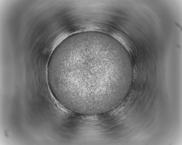 X0000098111047200804181446