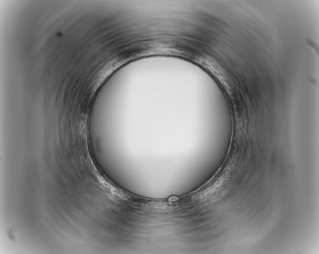 X0000098111049200804181446