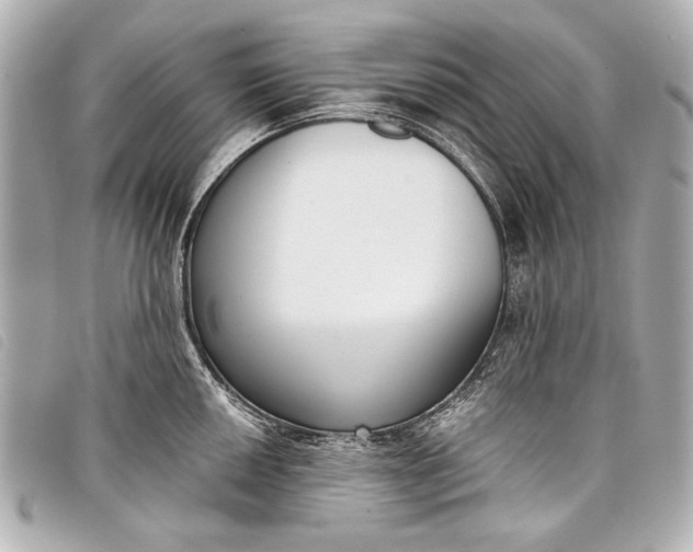 X0000098111050200804181446