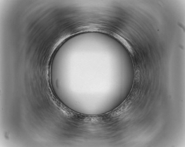 X0000098111051200804181446