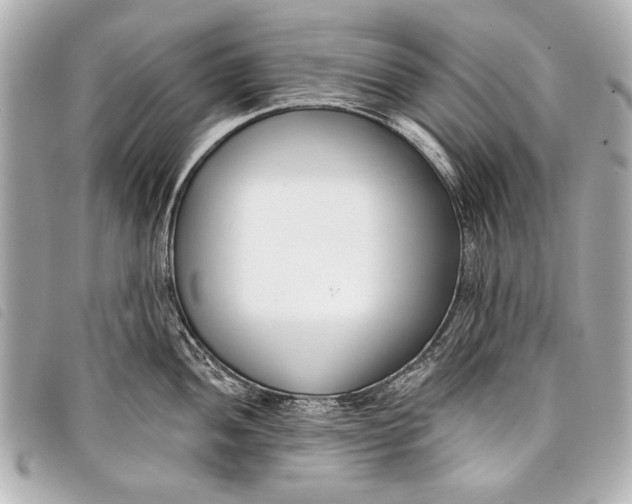 X0000098111052200804181446