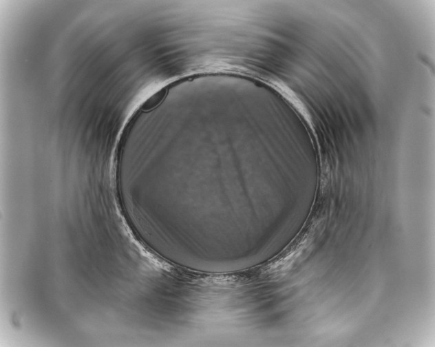 X0000098111053200804181446