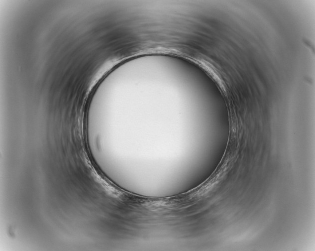 X0000098111054200804181446