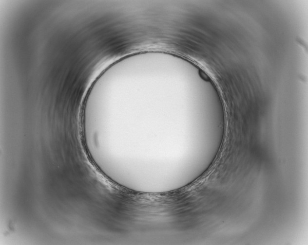X0000098111056200804181446