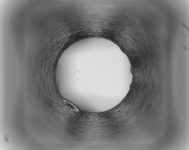 X0000098111057200804181445