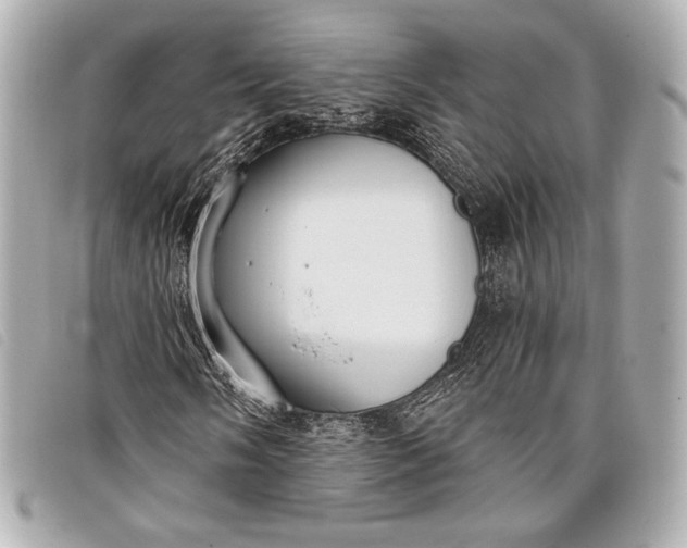 X0000098111058200804181445