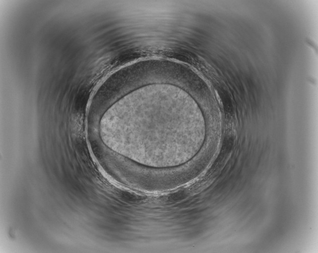 X0000098111060200804181445