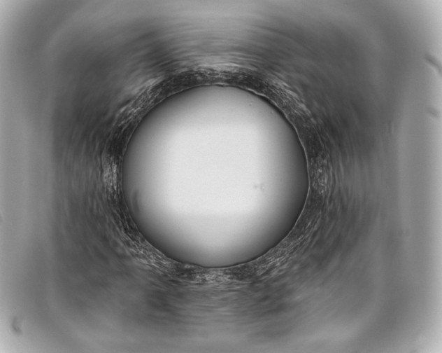 X0000098111061200804181445