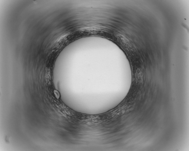 X0000098111062200804181445