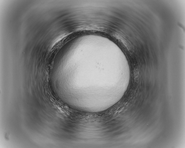 X0000098111064200804181445
